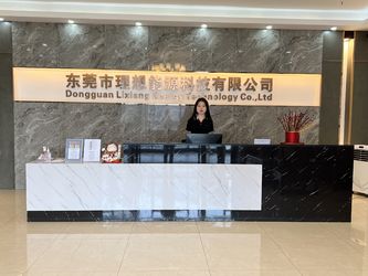 چین Dongguan Lixiang Energy Technology Co., Ltd. نمایه شرکت